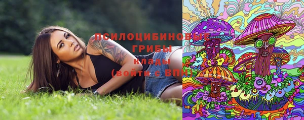 шишки Алексеевка