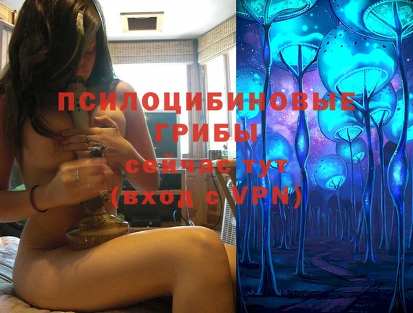 шишки Алексеевка